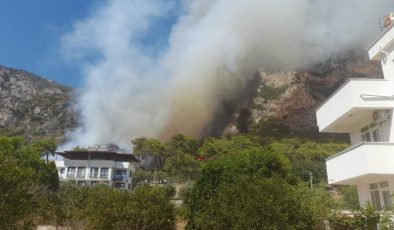 Milas’ta yerleşim yerlerine yakın alanda orman yangını