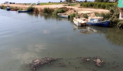 Seyhan’ın Akdeniz’e döküldüğü noktada korkutan kirlilik