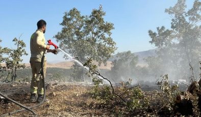 Siirt’te orman yangını, 17 saatte kontrol altına alındı