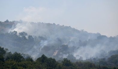 Türkiye – Bulgaristan sınırında yangın