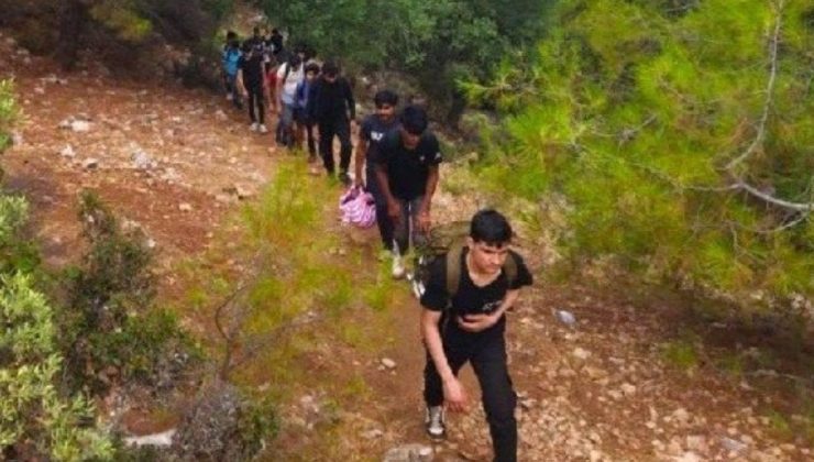 Göçmenleri ormanlık alanda kaderlerine terk ettiler