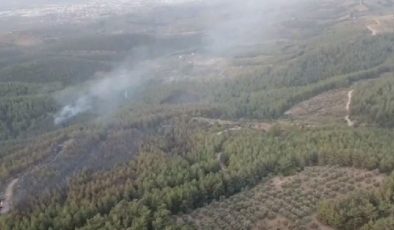 İzmir’de gece başlayan orman yangını sürüyor