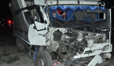 Kamyon, yolcu indiren kamyonete çarptı: 2 ölü, 7 yaralı