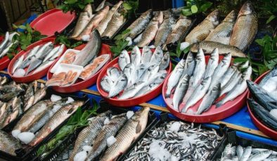Karadeniz’deki sıcaklık artışı balık varlığını tehlikeye soktu