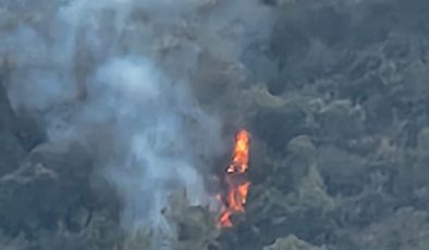 Marmaris ve Bursa’da orman yangını