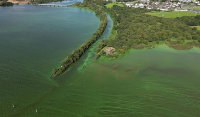 ‘State of emergency’: Toxic algae poisoning UK and Ireland’s largest lake