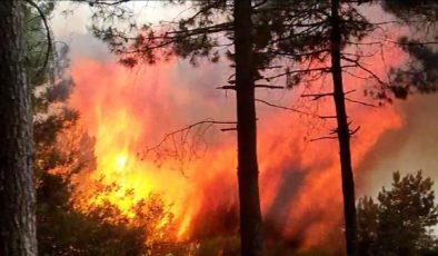 Sultangazi’de orman yangını! Vatandaşlar tahliye edildi