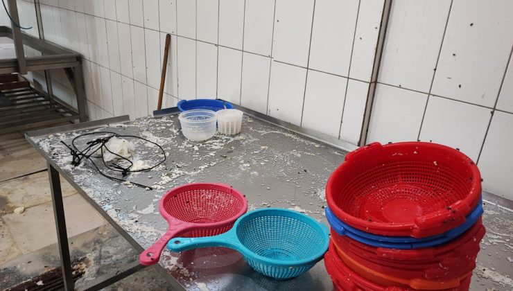 2 hellim işletmesinin faaliyeti askıya alındı