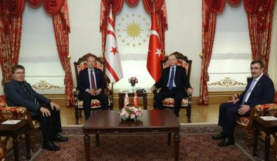 Tatar, Erdoğan ile yapılan görüşmede ele aldıkları konuları açıkladı