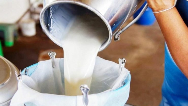 Süt üreticisine 112,5 milyon TL ödeme