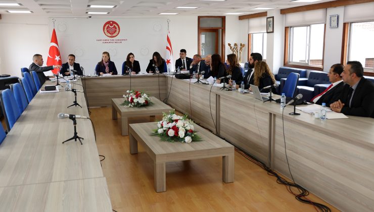 Ekonomi, Maliye, Bütçe ve Plan Komitesi, 3 yasa tasarısını görüştü
