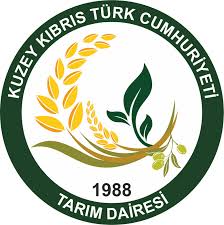 Gönyeli-Boğaz yolu pazartesi gününe kadar trafiğe kapalı