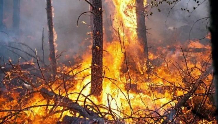 İspanya’da 18, Portekiz’de 2 noktada büyük yangınlar devam ediyor