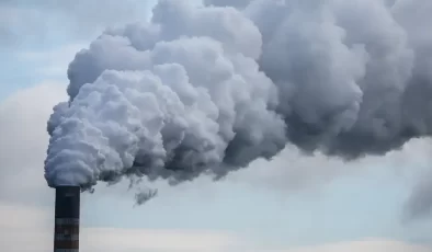 DÜNYANIN İLK “KARBON MEZARLIĞI” NORVEÇ’TE AÇILDI