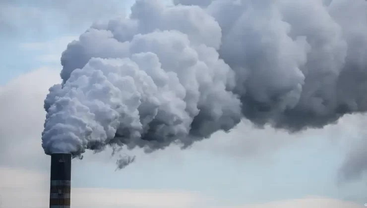 DÜNYANIN İLK “KARBON MEZARLIĞI” NORVEÇ’TE AÇILDI