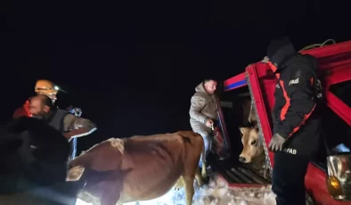 Yaylada içinde 15 kişi olan araçların üzerine çığ düştü