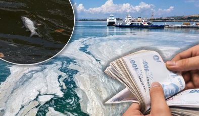 Balıkçılara müsilaj ödemesi