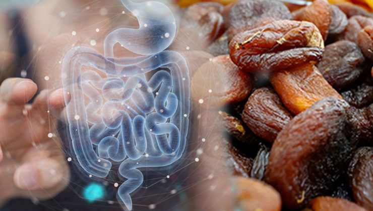 Doğal bağırsak ilacı! Yiyince anında rahatlatıyor, şişkinliği gideriyor