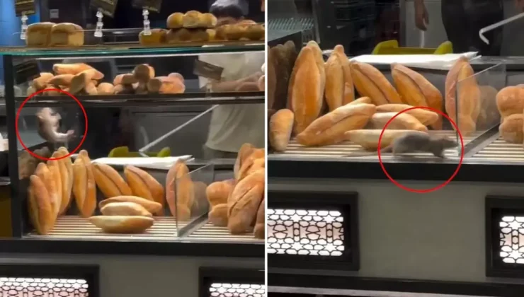 Fırında mide bulandıran görüntü: Dükkan sahibini 10 bin dolarlık teklif kurtaramadı