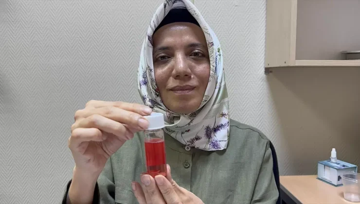 SDÜ Göz Bankası: 100’den Fazla Kornea Nakli