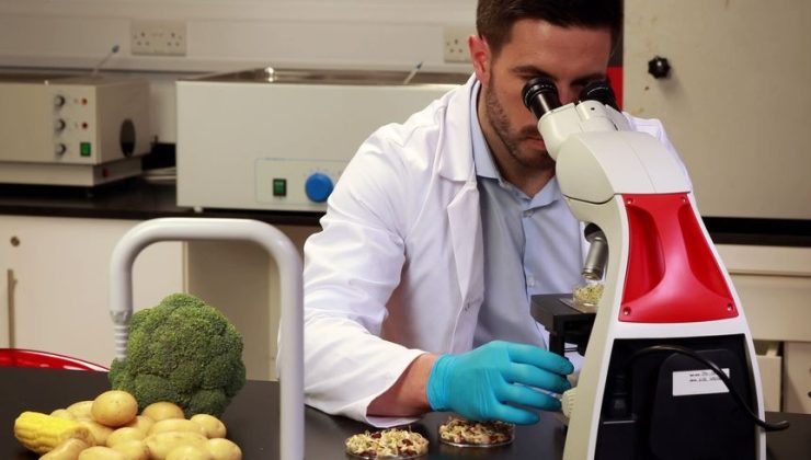 Gıda denetim sonuçları…