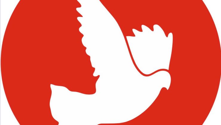 TDP Girne İlçe Başkanı Perçinkardeşler: “Sanat lüks değil, bir ihtiyaçtır”
