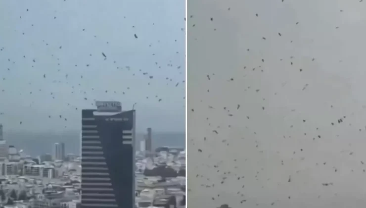 Tel Aviv’de karga istilası! İzleyen herkes aynı yorumu yapıyor