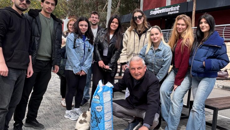 Doğayı ve Canlıyı Koruma Derneği, sokak hayvanlarını besledi