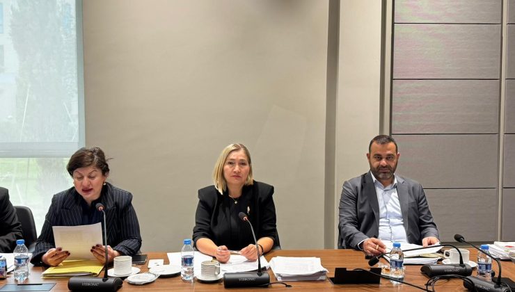 Hukuk, Siyasi İşler, Dışilişkiler ve Savunma Komitesi toplandı