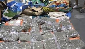 Baf’ta uyuşturucu ele geçirildi