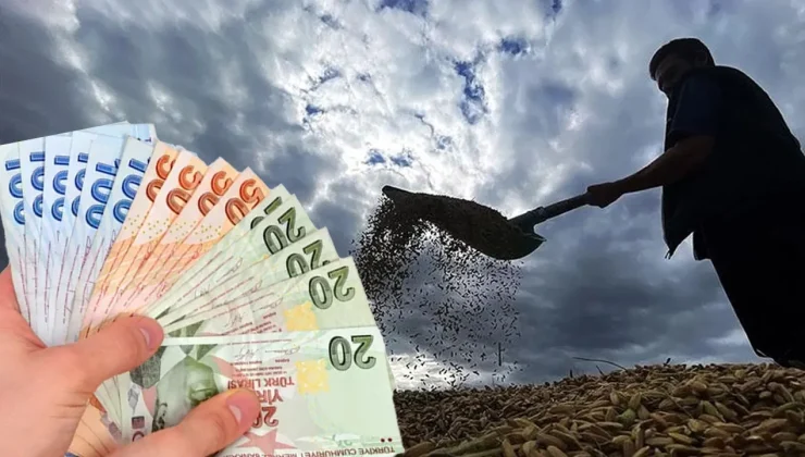 Üst limit 30 milyon, alt limit 100 bin lira! Tarım yatırımlarına yüzde 70’e varan hibe
