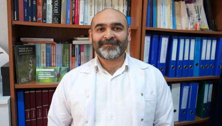 Kış Kenelere Engelleyemiyor