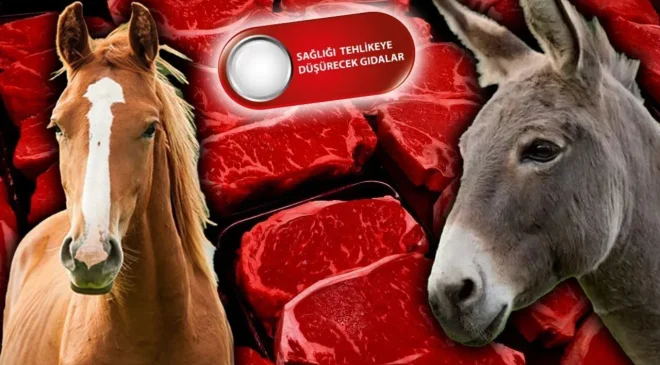 Vatandaşa at ve eşek eti yedirdiler!