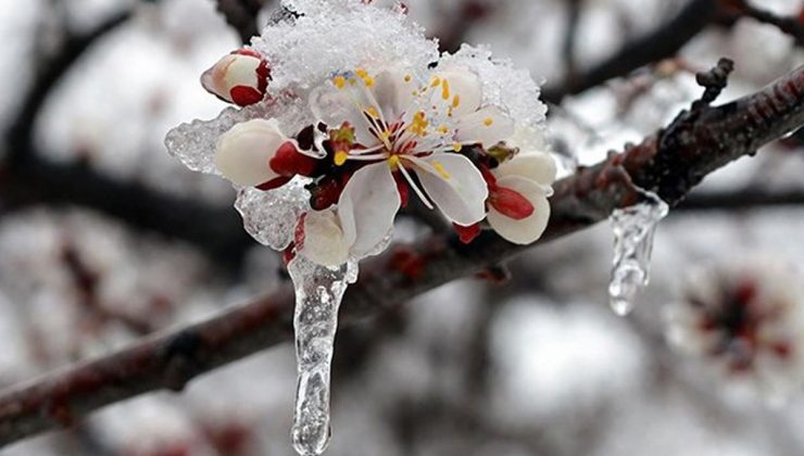 Zirai don, kar, yağmur! 42 il için sarı kodlu uyarı verildi