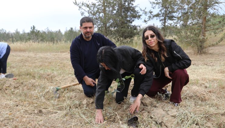 UBP’nin kuruluş yıl dönümü kapsamında “fidan dikimi” etkinliği yapıldı