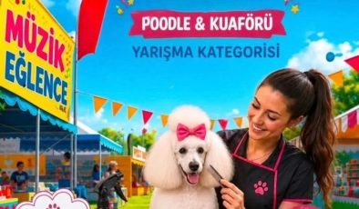 Alagadi’de evcil hayvanları için festival düzenleniyor