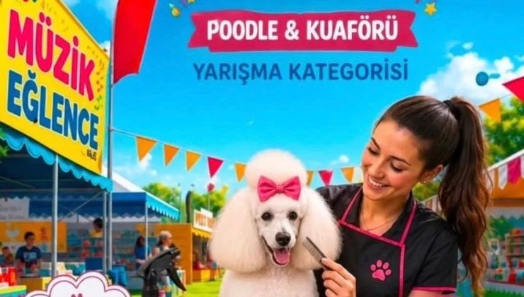 Alagadi’de evcil hayvanları için festival düzenleniyor