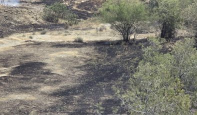 Haspolat – Güngör ana yolunun batısındaki ormanlık alanda yangın.. Soğutma sürüyor