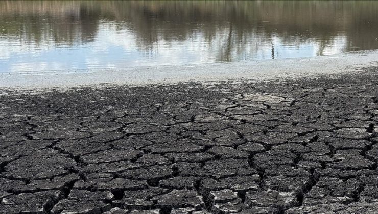 İklim krizi, genç kuşaklarda kaygı ve çaresizlik duygusunu artırarak “eko-anksiyeteye” neden oluyor