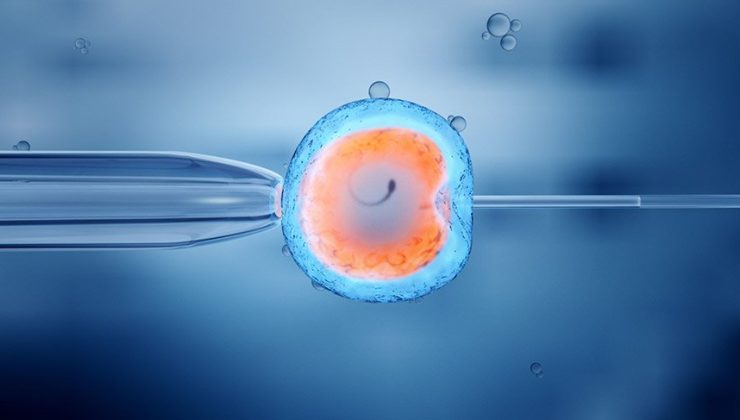 KKTC’den izinsiz embriyo çıkarmaya çalışan İsrail vatandaşı kurye tutuklu yargılanacak