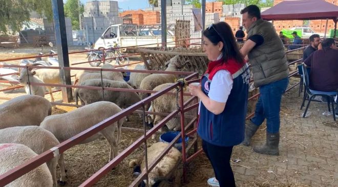 Kurban Bayramı Denetimleri Sürecek