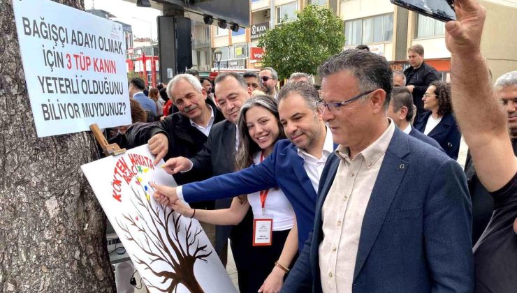 Kökten Hayata Şenliği’ne yoğun ilgi