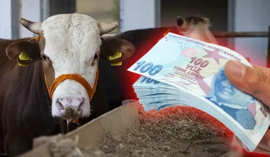 Kurban Bayramı’na sayılı günler kaldı! Esnaftan sahte para uyarısı