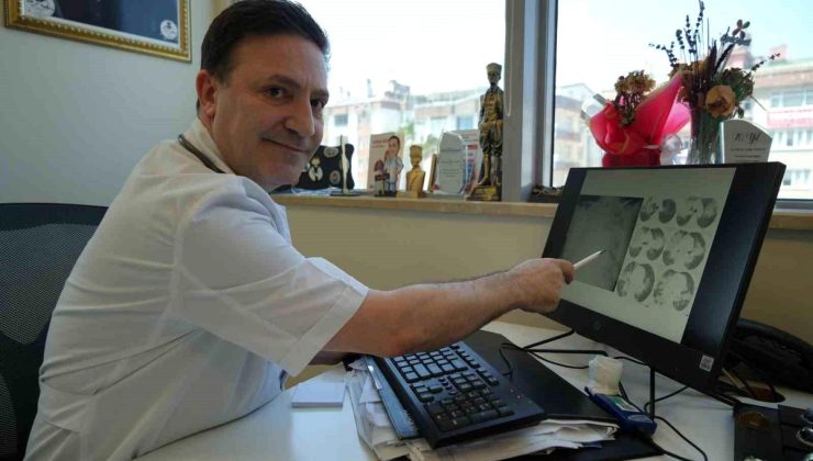 Hantavirüs Tehlikesi: Uzman Uyarıyor