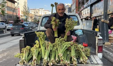 Şeker ve tansiyona birebir! Bağı 100 liradan kapış kapış satılıyor