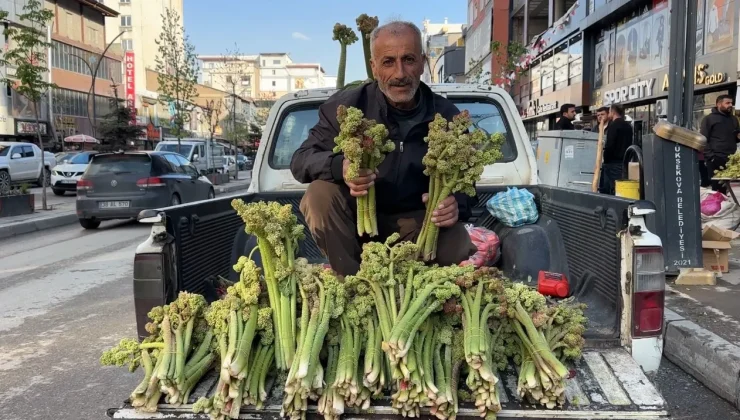 Şeker ve tansiyona birebir! Bağı 100 liradan kapış kapış satılıyor