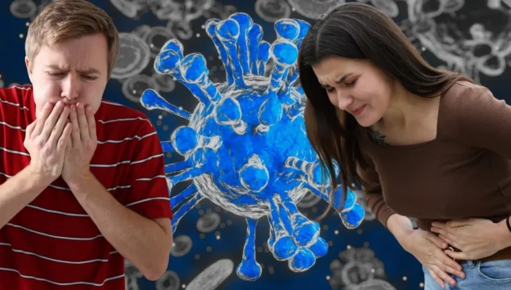 Tam 1 ay pusuda yatıyor? Belirtileri, tedavisi, Türkiye’de son durum… İşte Norovirüs hakkında 15 soru ve cevapTam 1 ay pusuda yatıyor? Belirtileri, tedavisi, Türkiye’de son durum… İşte Norovirüs hakkında 15 soru ve cevap