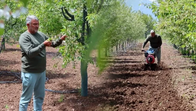 Teknik direktörlüğe ara verdi, yeni işini kurdu! Hedefi yılda 30 ton üretim
