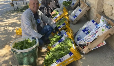 Üreticiye çifte kazanç! Meyvesi 90, yaprağı 120 lira