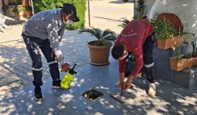 Mesarya Belediyesi haşereyle mücadele çalışmalarını sürdürüyor